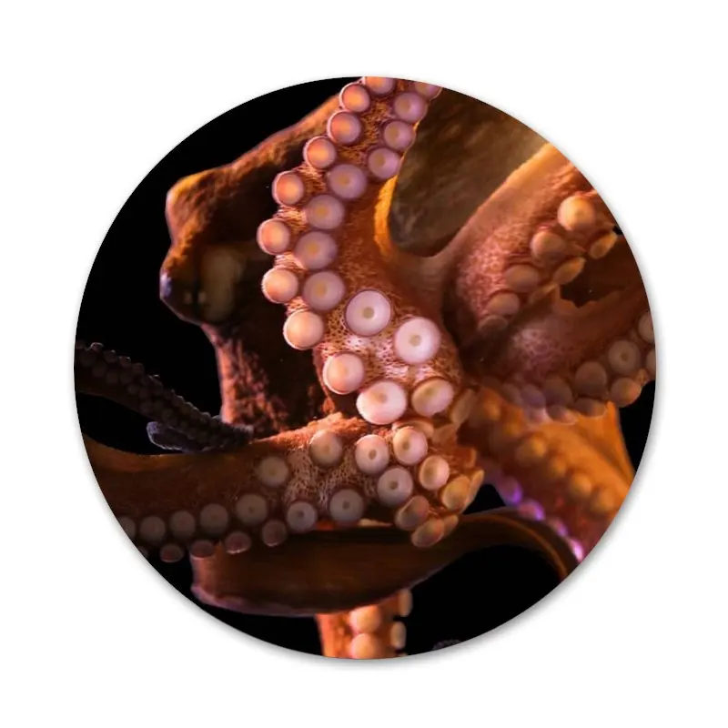 Страшно Осьминог значок брошь заколка аксессуары для одежды рюкзак украшения