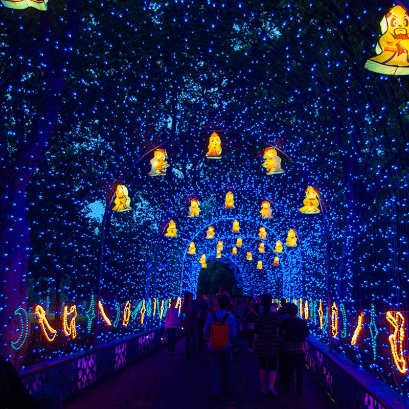 Светодиодная уличная гирлянда с управлением 10-100 м волшебная световая цепочка