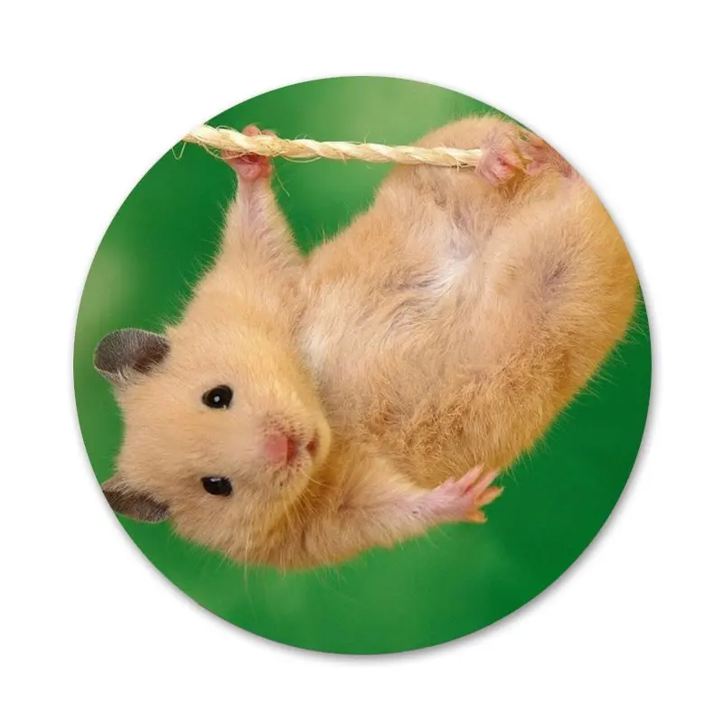 Кролик мышь Хомяк значок для одежды рюкзак украшение подарок | Дом и сад