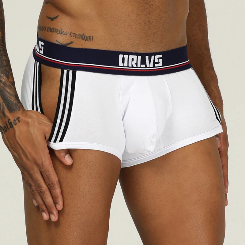 ORLVS Брендовое Мужское нижнее белье мужские сексуальные боксеры cueca masculina дышащие Ropa Interior hombre мужские трусы-боксеры calzoncillo hombre