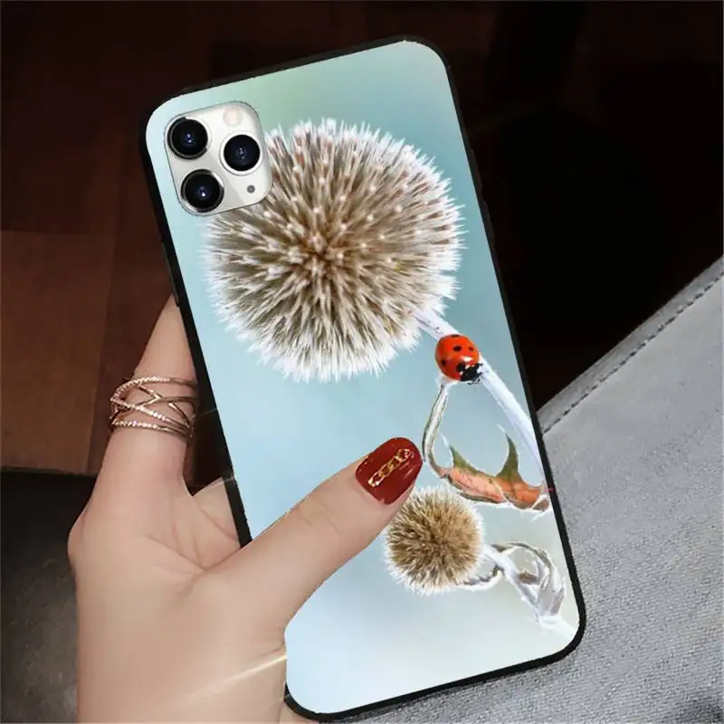 

four leaf ladybug daisy Phone Cases for iPhone 11 12 pro XS MAX 8 7 6 6S Plus X 5S SE 2020 XR