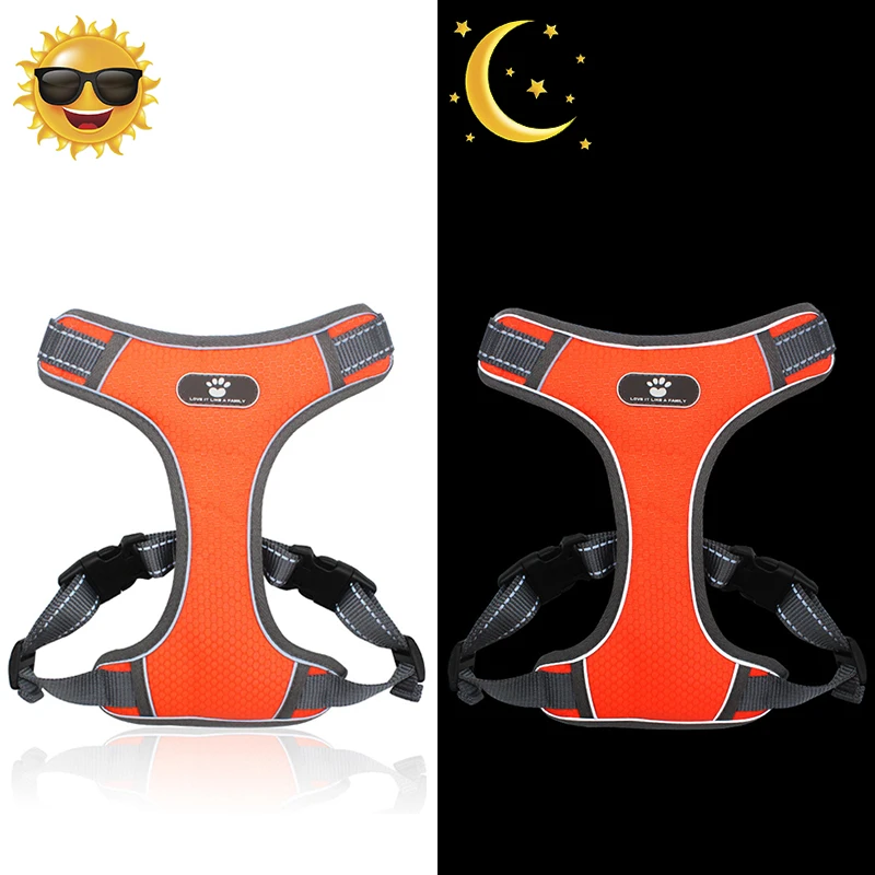 Жилетка шлейка для собак регулируемый светоотражающий дышащий легкий жилет