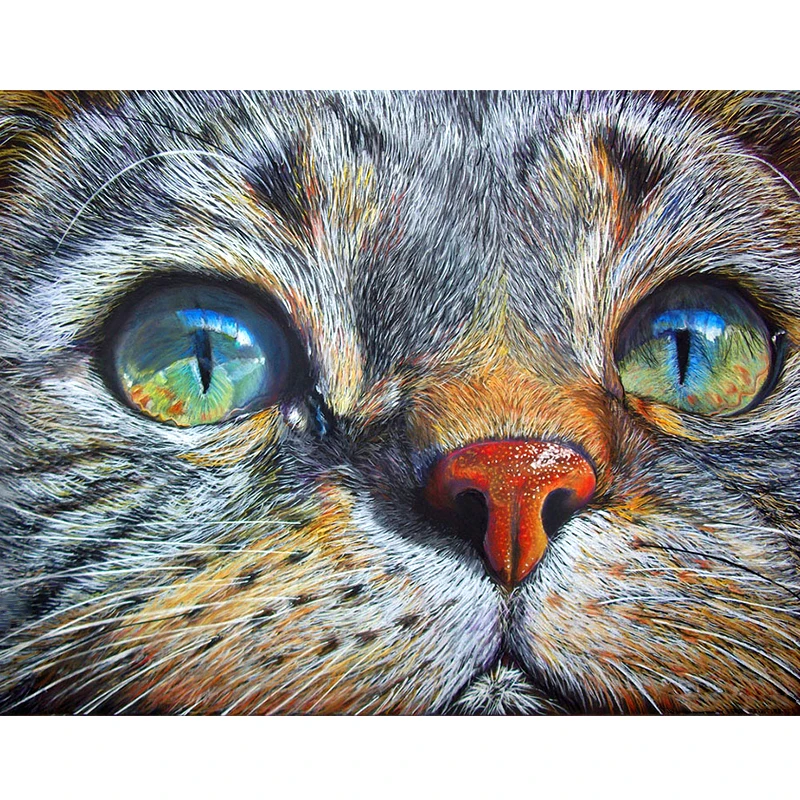 Full Drill Square Diamond 5D DIY Painting"Cat face" Round Embroidery Cross Stitch Rhinestone Mosaic Painting | Дом и сад