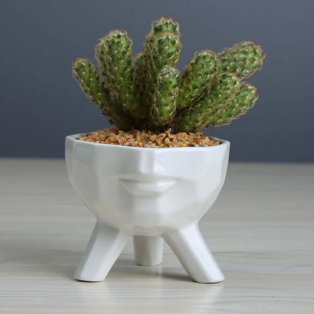 1 шт. белый цветочный горшок для суккулентных растений Креативный лица человека