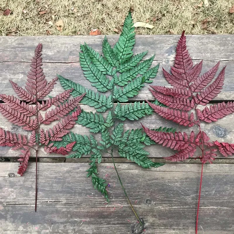 20 ~ 40 см/10 шт сухое натуральное свежее сохраненное растение вечная сушеная трава