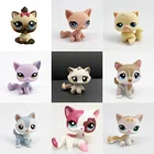 Милые игрушки lps old pet shop, котенок с короткой шерстью, Гималайская кошечка, Хаски, собака, спаниель, колли, датский дог, редкие фигурки из коллекции