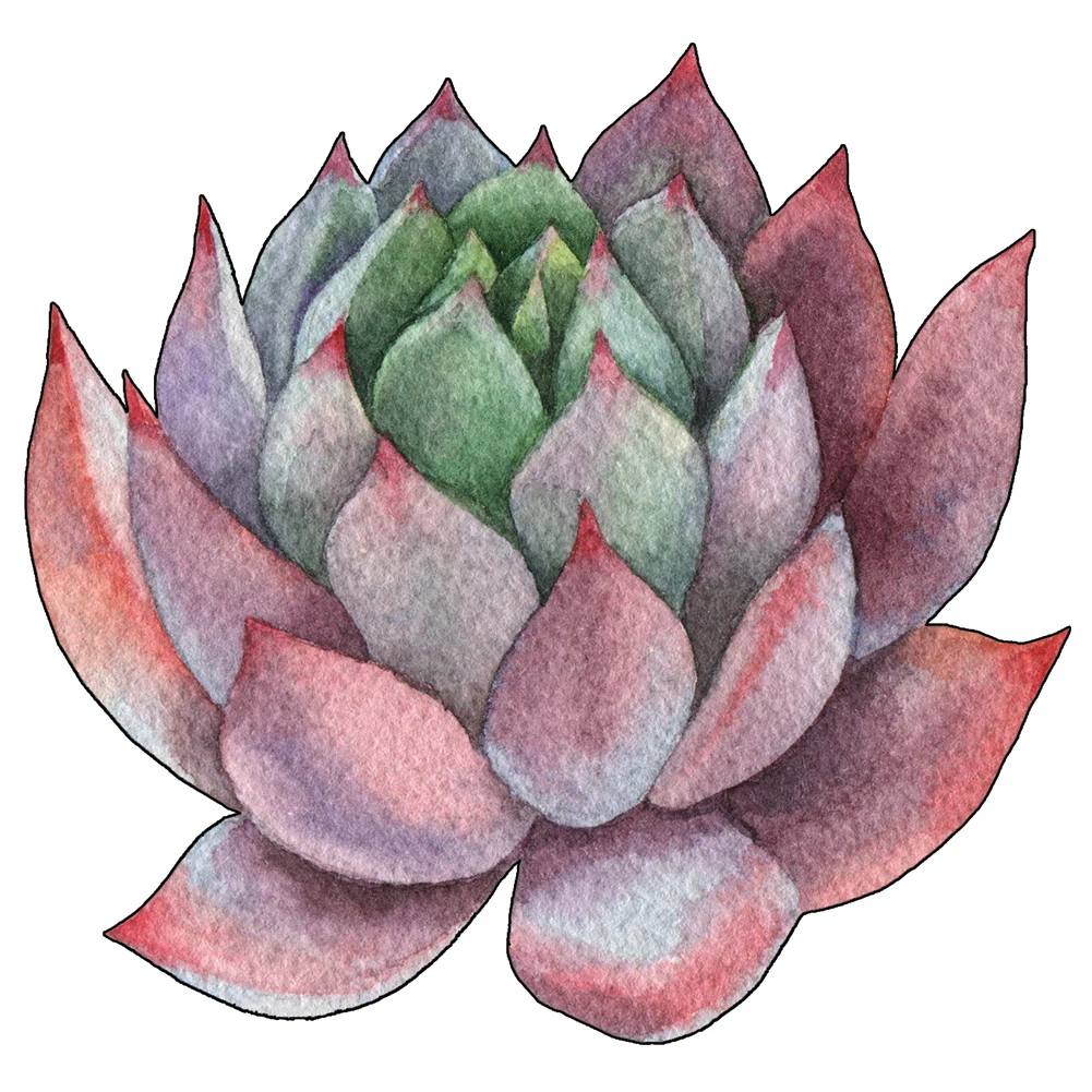 

Пазл деревянный 3D в виде суккулента, для взрослых и детей, Обучающие игрушки, игры, деревянный пазл «сделай сам», ремесла, подарок