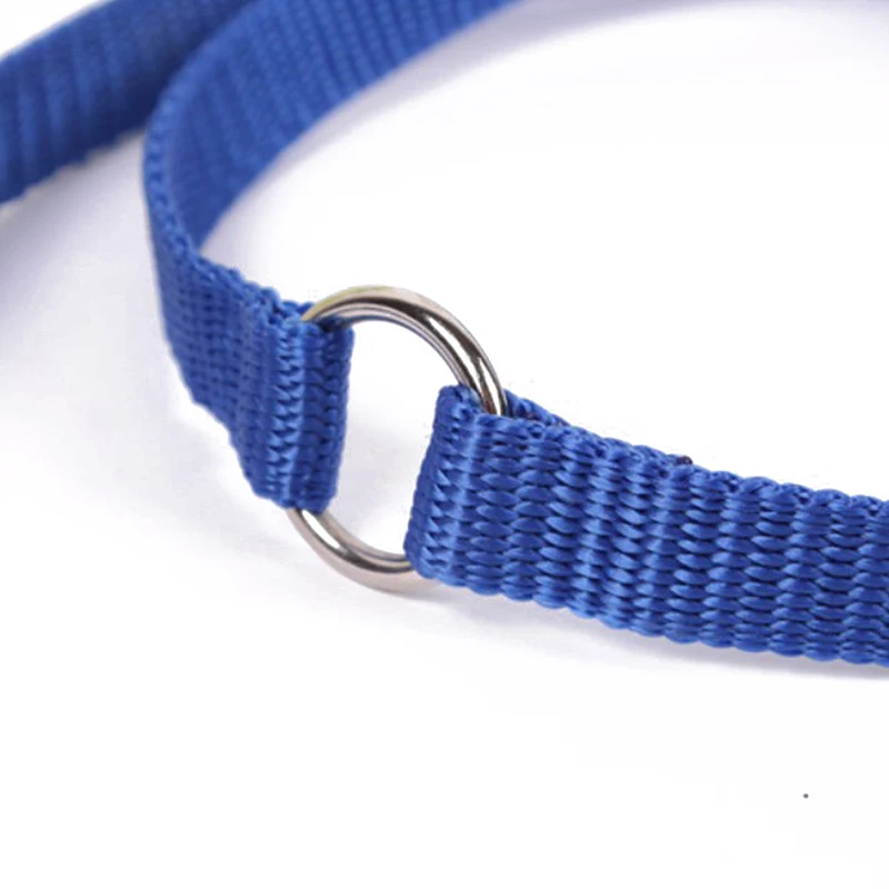 Поводок 2 в 1 для собак и прогулок полиэстеровый сцепчик домашних животных