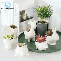 strongwell desktop animal ceramic flower pot chinese succulent pot crafts creative ornaments home decoration birthday gift cute