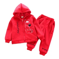 autumn baby girls clothes children fashion hooded jacket pants 2pcssets winter toddler hoodies costume kids casual tracksuits