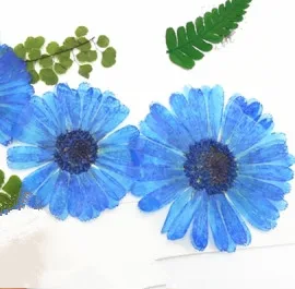 12pcs Natural Pressed Flowers rose Real Dried Calendula DIY Art Craft Valentines gift Bookmark Decoration Scented candle decor | Дом и сад