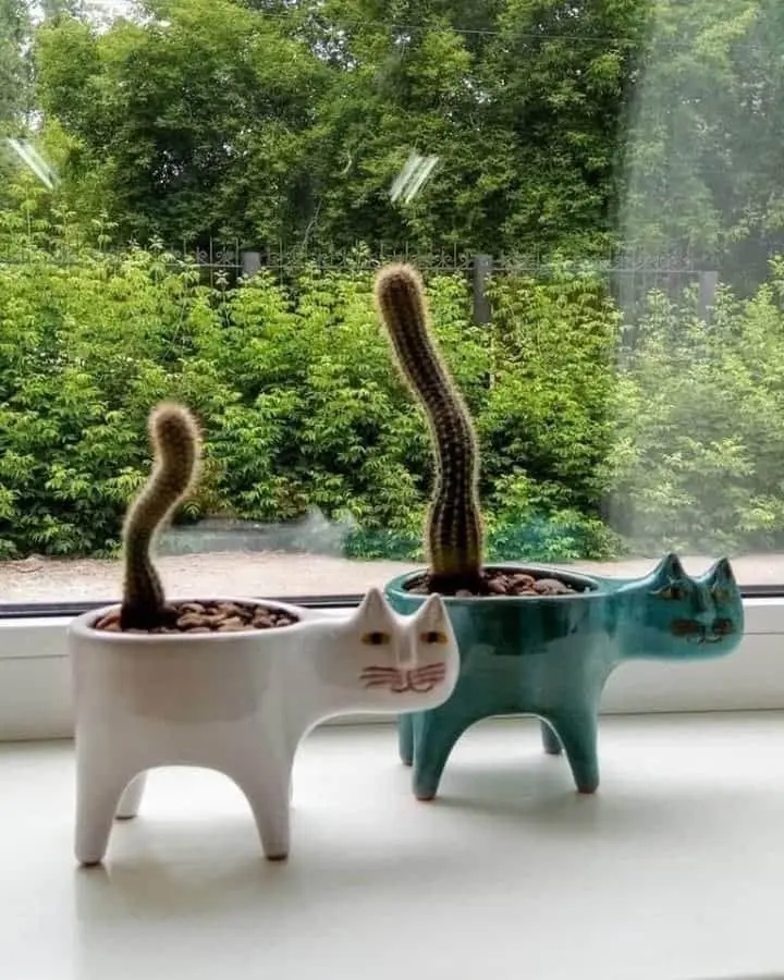 

NEW Cute Cat Tail Flowerpot Ceramic Personality Creative Cactus Multi-meat Simple Decoration Desktop Cartoon Animals. Flower Pot