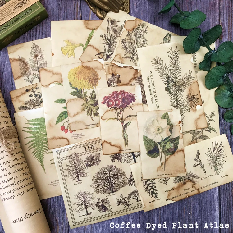 17 шт. кофейная бумага ручной работы иллюстрация цветов растений материал для
