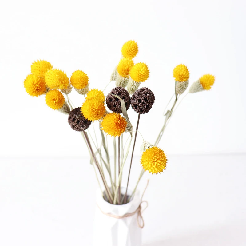 Натуральные сушеные цветы лист эвкалипта настоящий желудь сосна пшеница хлопок