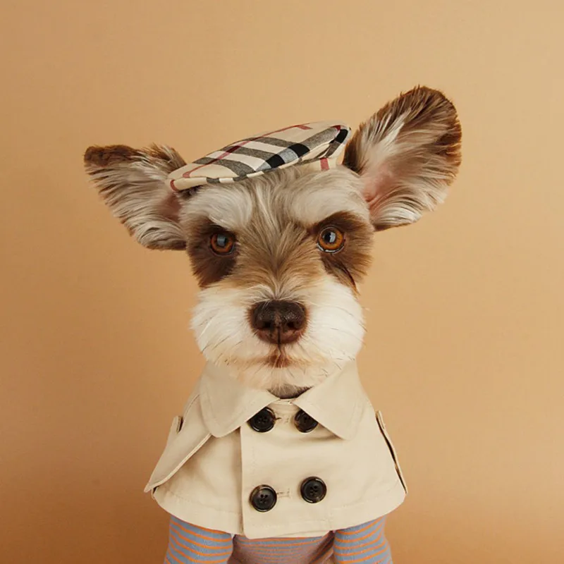 

Dog Clothes Trench Cape Collar Soft Warm Pet Clothing Dogs Cat Cape Costume Double-breasted Button Trench Coat Saliva Towel