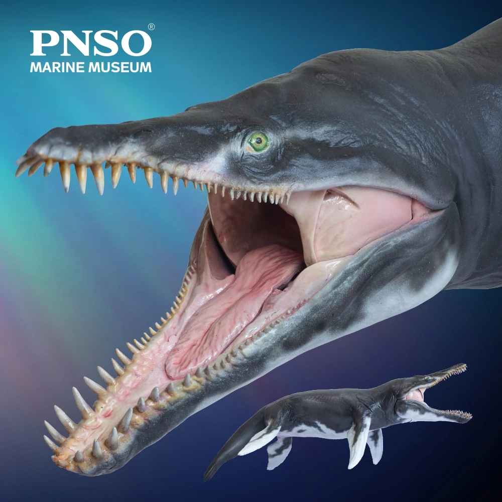 PNSO-modelo de arte cient&iacute;fico, Museo marino, JEFF, KRONOSAURUS 1:35-0