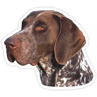 s40233 various sizes decal german shorthaired pointer car sticker waterproof on bumper rear window laptop refrigerator toilet