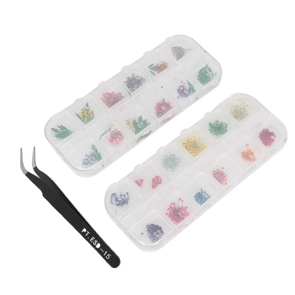 

Pinches Dried Flower Nail Decoration Manicure Crafts DIY Nail Art Decoration Accessories Hairdressing Accessory