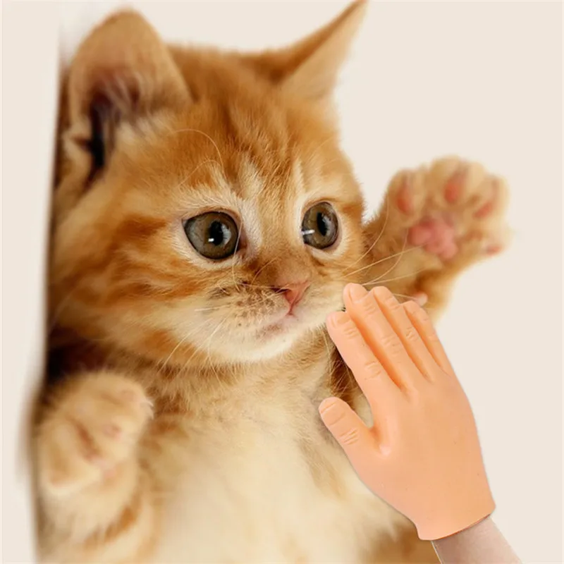 

Funny Cat Massage Finger Glove Grooming Glove Pet Brush Glove For Cat Interactive Game Small Finger Glove Cat Toys