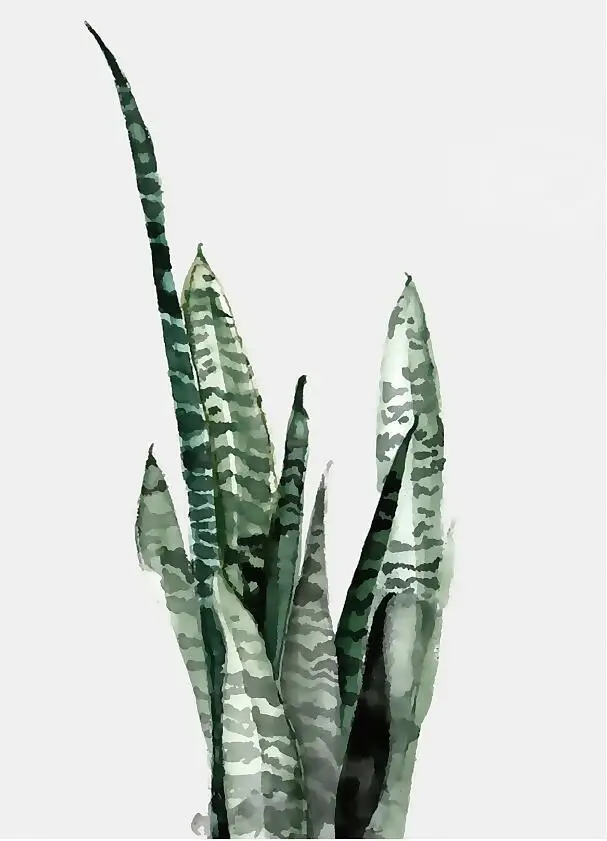 5 Monstera Deliciosa листья стены Искусство Холст Живопись зеленый стиль растение скандинавские плакаты и принты картина Современное украшение дома - Цвет: 5