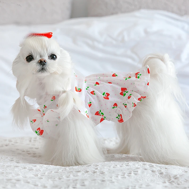 

Pure Cotton Puppy Dog Princess Dresses Strawberry Fruit Print Dog Coats Skirts For Small Medium Dog Outerwear Pet Clothes Poodle
