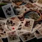 30 шт.лот, винтажный цветок, папоротник, Бабочка, INS, растения, наклейки для домашних животных, набор сделай сам, дневник, дневник, украшение, альбом, скрапбукинг