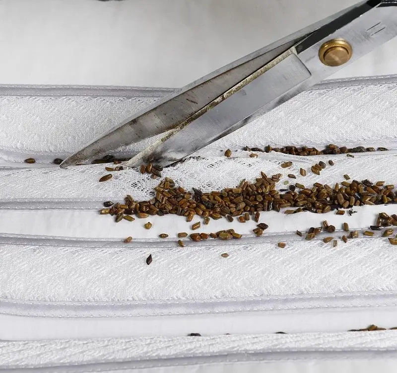 Комфорт сна кровать подушка пены памяти волокна Кассия магнитотерапия здоровья