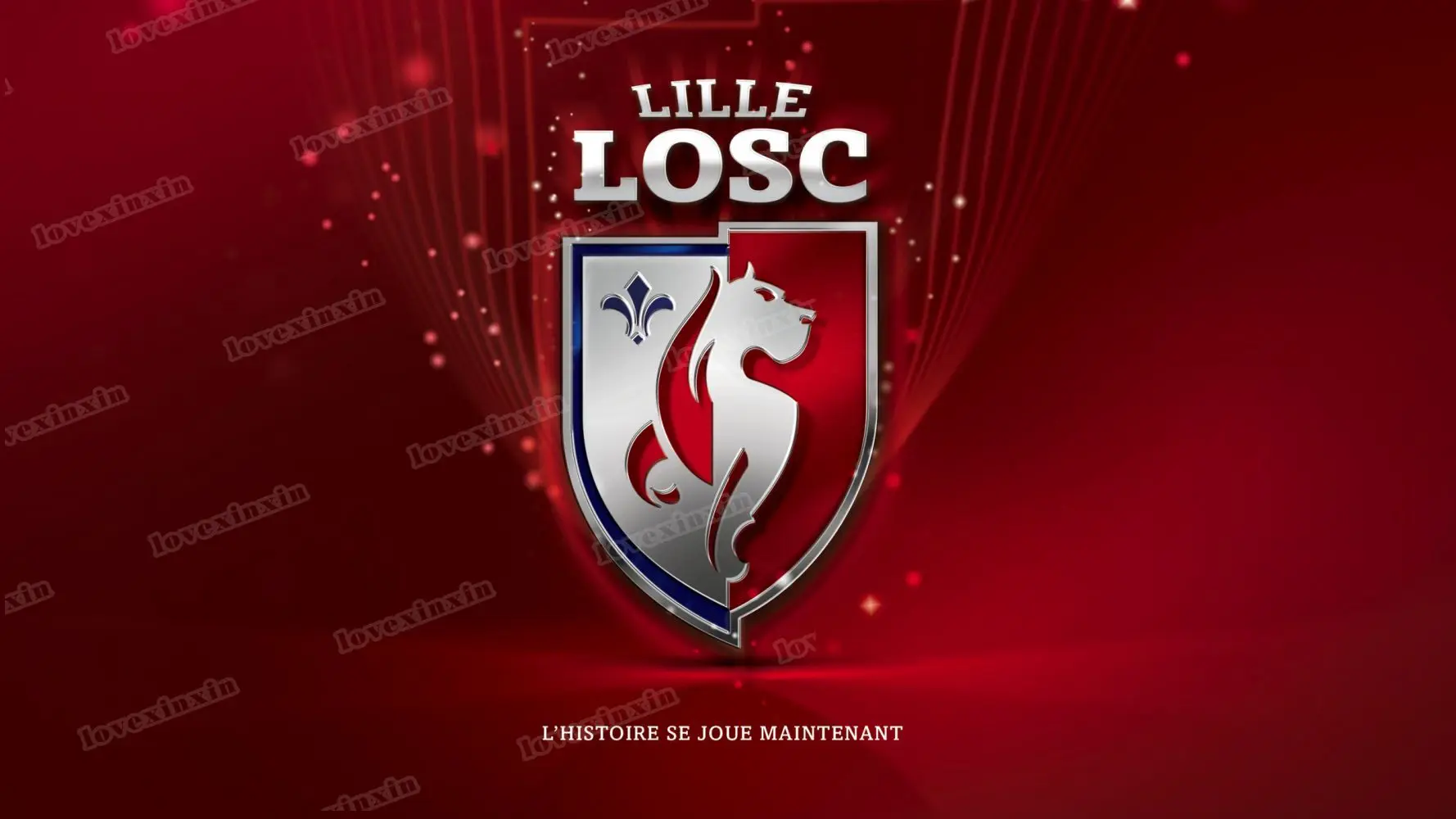 Настенная Картина на холсте с изображением футбольной команды Лилля без рамки |