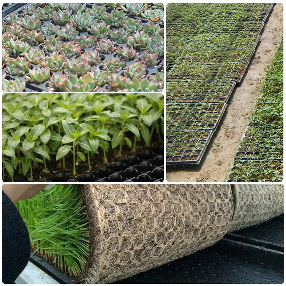 Пластина для рассады с 200 отверстиями пластмассовый поднос начинающих семян