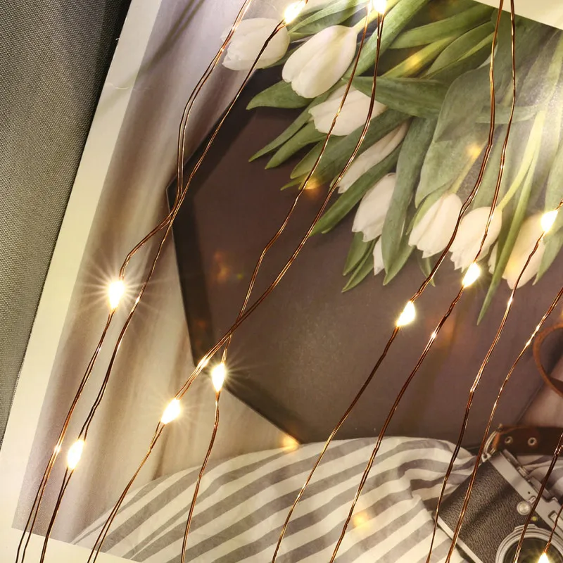 Гирлянда светодиодная с клипсой для фото 5 м | Дом и сад