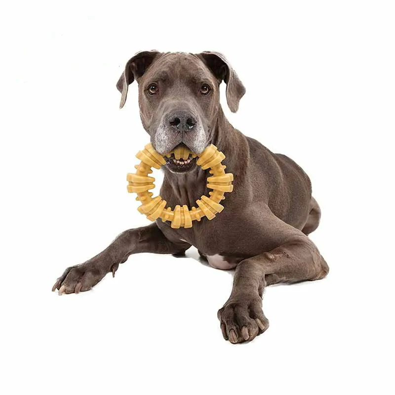 

Beautiful Nylabone Dura Chew Plus Textured Ring Dog Car Stickers Waterproof Sunscreen Bumper Decals PVC 12 X 13cm