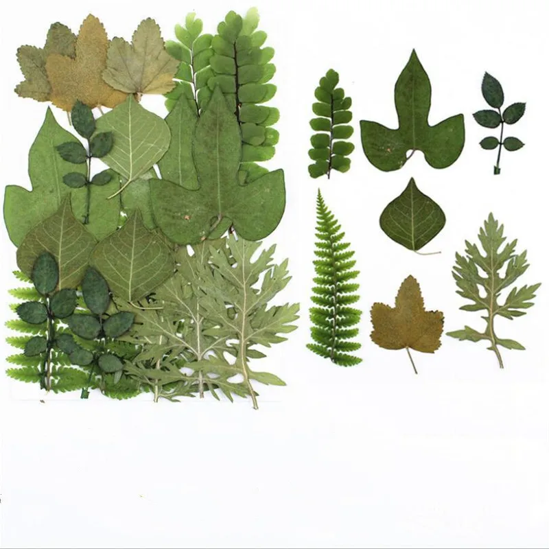 

21pcs/lot Real Dried leaves Flower Dry Plants For Candle Epoxy Resin Pendant Necklace Jewelry Making Craft DIY accessories