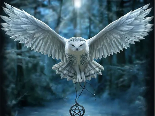 Алмазная картина животные Сова вышивка декорация круглая DIY крестиком украшение