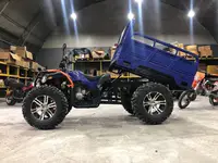 LEISHOU  Квадроцикл с кузовом ATV Zhongshen Tundra 4WD 300CM3 НАЛИЧНЫЕ БУДЕТ 15 НОЯБРЯ