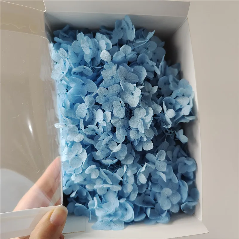 

20g/lot,Eternal preserved Anna Hydrangea flower petals,DIY photo frame wedding Party christmas decoration,Tiny flower resin art