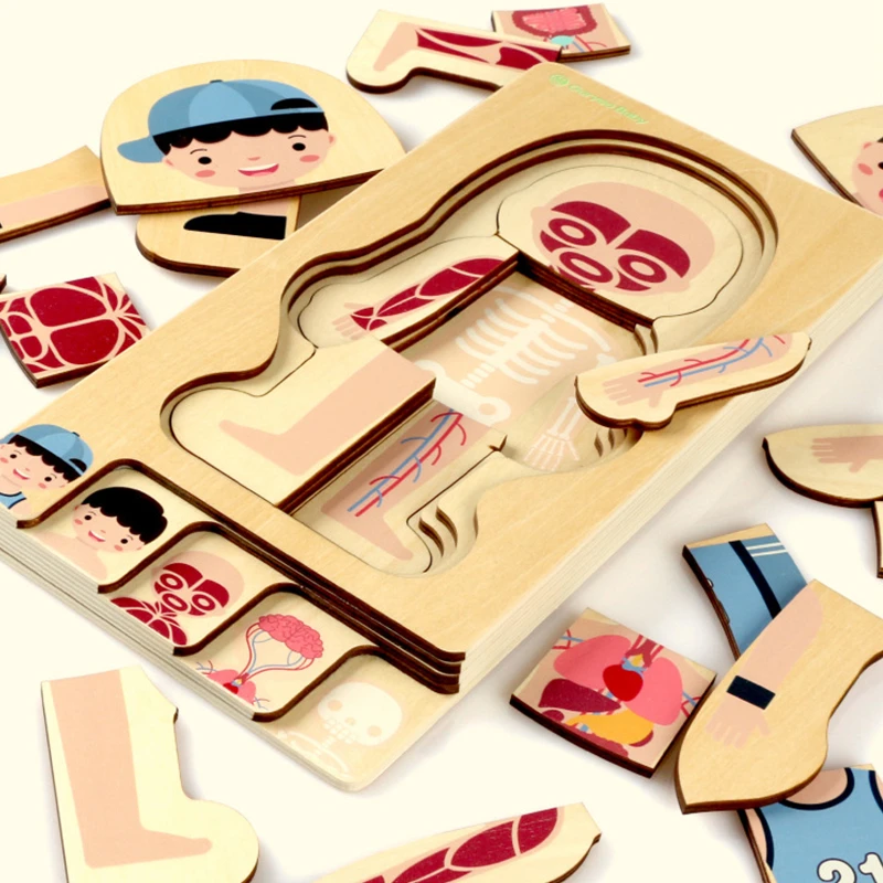 

Montessori Educational Boys Girls Body Structure Puzzle Children Wooden Toys Children Puzzles Kids Early Educational Toys