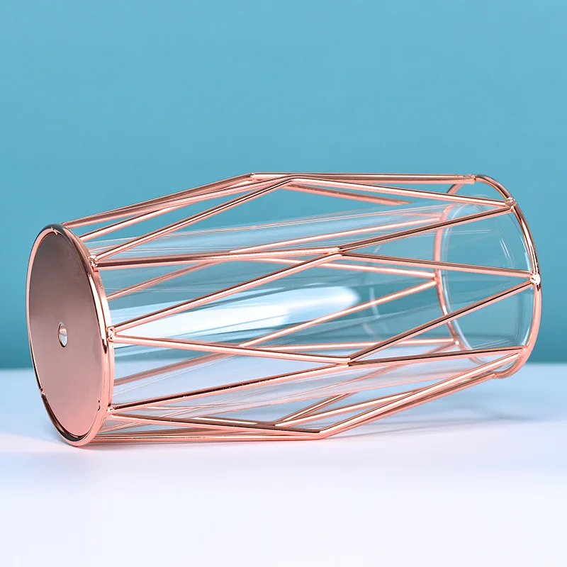 

Light luxury champagne gold diamond iron vase Nordic ins desktop ornaments hydroponic glass test tube flower arranging device