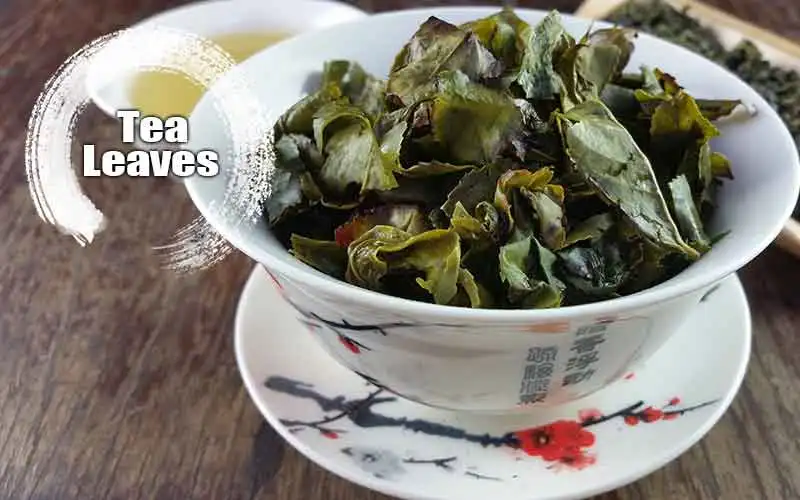 

Anxi Tiguanin Tea Ti Kuan Yin Iron Goddess of Mercy Oolong Chinese Tea