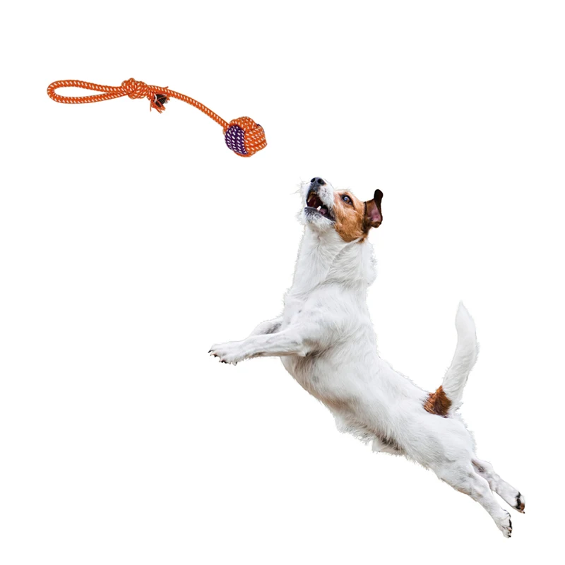 

Dorakitten New Product Pet Dog Rope Toy Creative Interactive Soft Cotton Rope Dog Chew Toy With Handle Dog Supplies Random Color