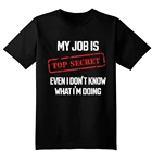 Футболка с принтом для мужчины. Футболка MY JOB IS TOP SECRET