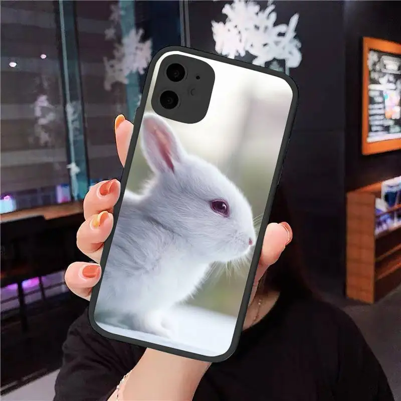 

Phone Case For iPhone 12 11 Mini Pro XR XS Max 7 8 Plus X Cute rabbit Matte transparent cover