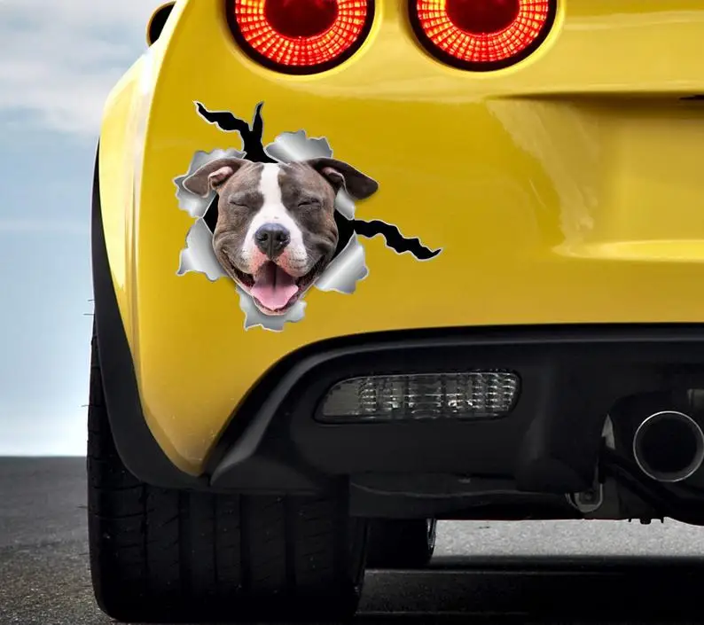 

Auto sticker Dog sticker Car sticker Pitt Bull stickers PittBull sticker Animals car decor Lovely dog sticker Pitt Bull