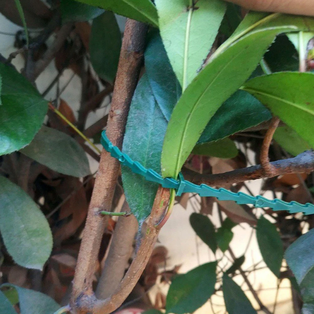 Поясной ремень для сада длиной 17 см 50 шт. многофункциональные зеленые рыбья кость