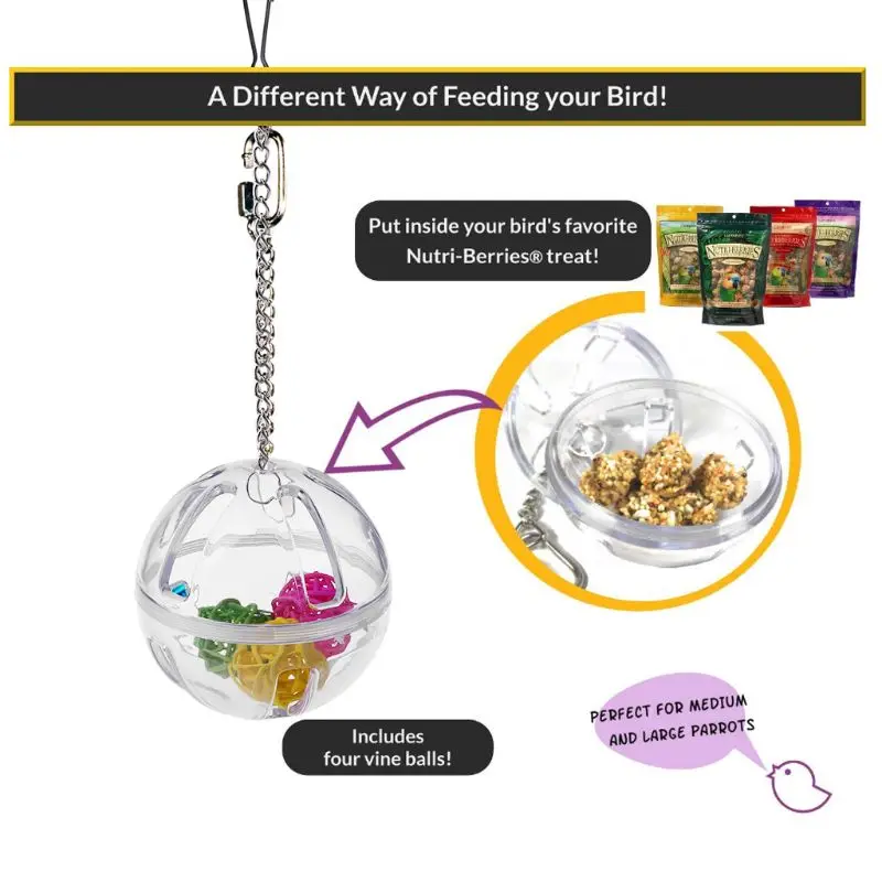 

Hanging Foraging Ball with Balls Inside Bird Cage Acrylic Stand Parrot Chew Toy K3NA