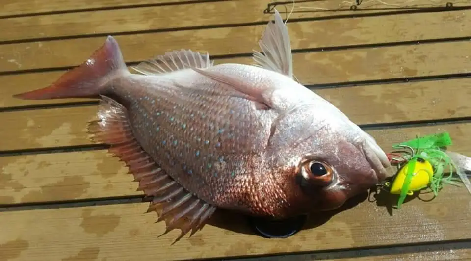 5 шт. 60 г/100 г/150 г Осьминожка джиг свинцовая рыба с юбкой свинцовая джиг голова металла джиг отдельный посылка прочный рыболовный крючок