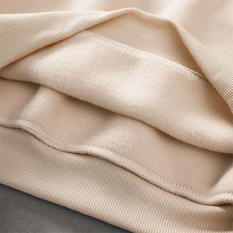 

oversized 8 Colors Sweatshirts autumn Women's Solid Hooded Female 2021 Cotton Thicken Warm Hoodies Lady Autumn Fashion Tops