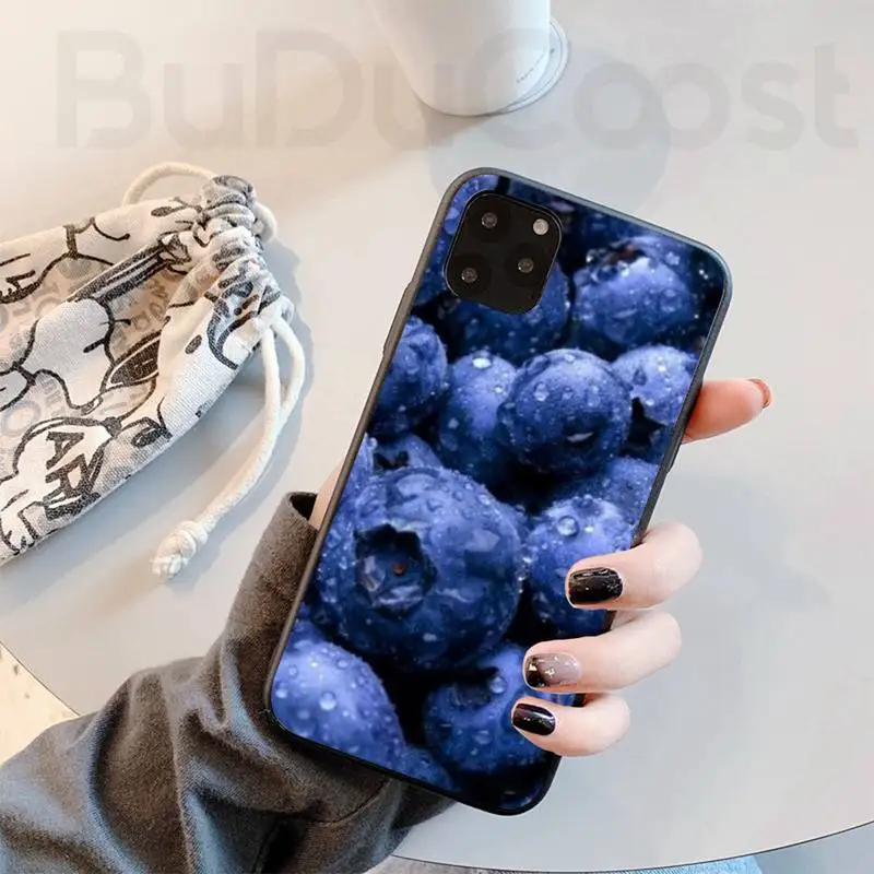 blueberry fruit phone case for iphone 11 7 case for iphone 11 pro max x xs xr xs max 8 7 6s plus 5 se case free global shipping