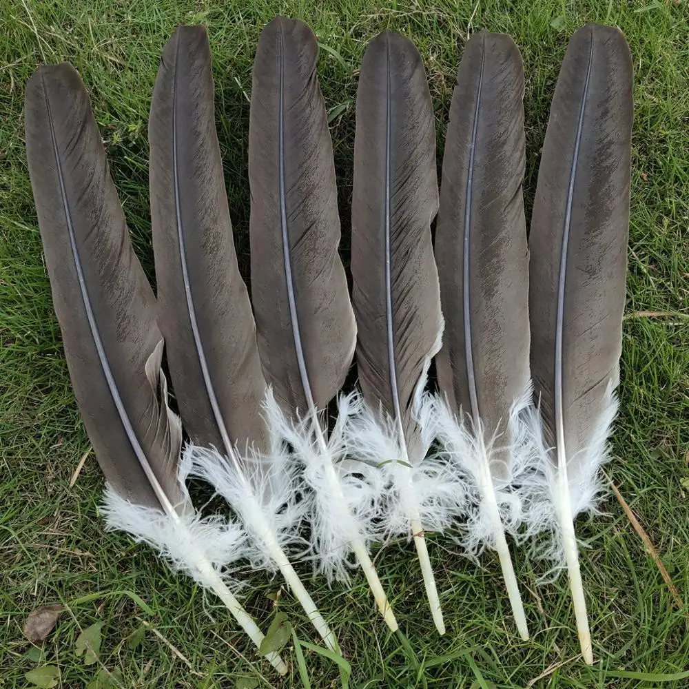 Feather 6
