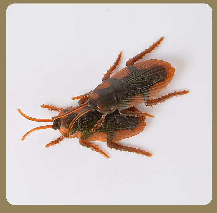 

Spooffulness toys simulation cockroaches new strange truth