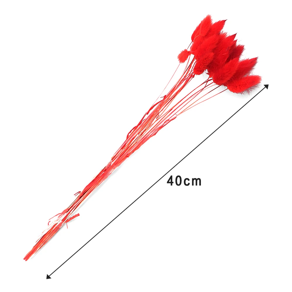 20Pcs Natural Dried Flowers Colorful Fake Rabbit Tail Grass Bouquet Long Bunches Artificial Flower Shooting Props DIY Home Decor | Дом и сад